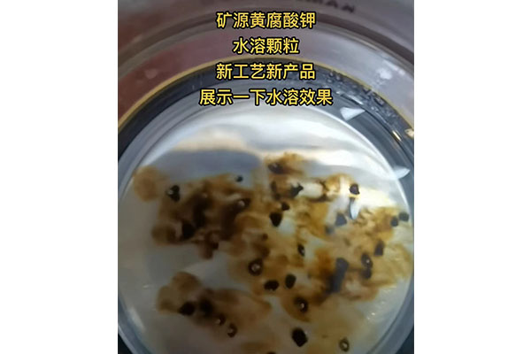 礦源黃腐酸鉀尾料顆粒水溶實(shí)驗(yàn)